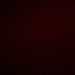 Meet your Posher, Tabatha